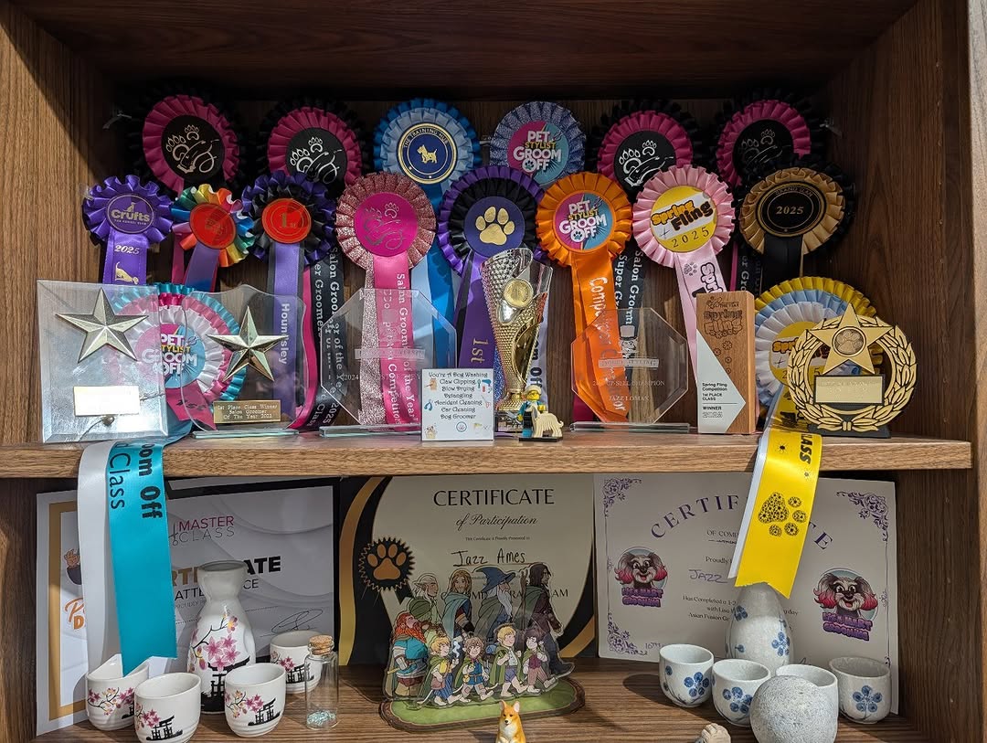 Shelf of grooming competition rosettes, trophies and certificates